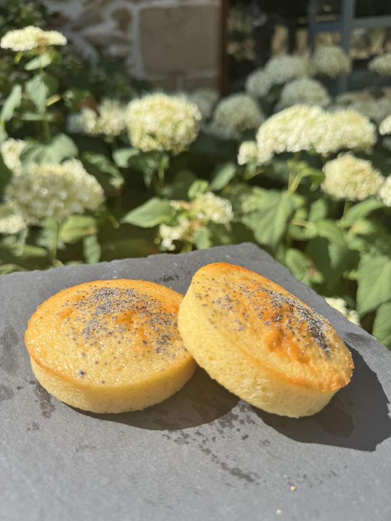 Cake Citron & Pavot (Unité)